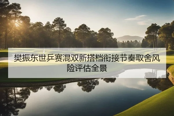 樊振东世乒赛混双新搭档衔接节奏取舍风险评估全景